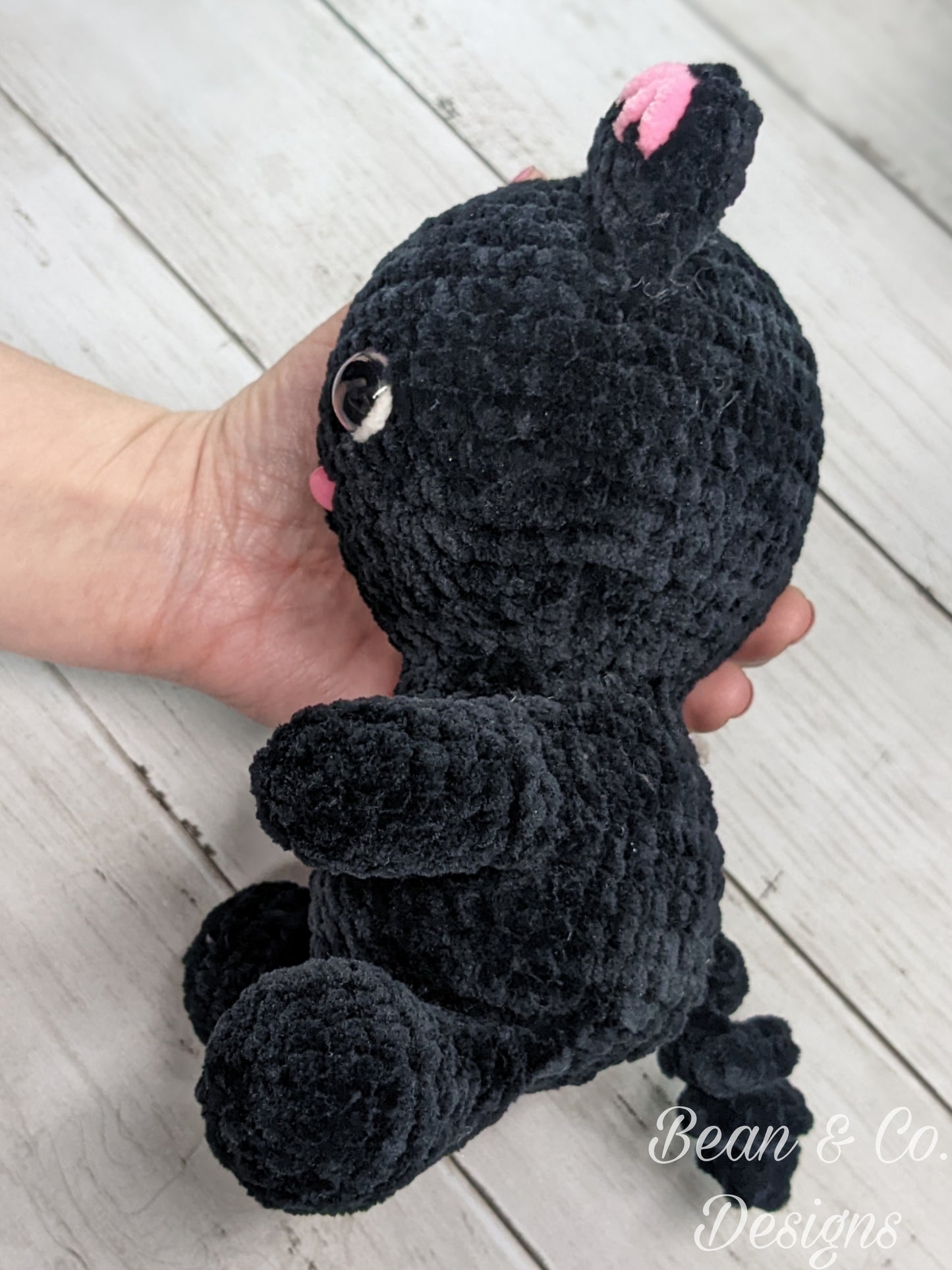 Hatching Kitty Plushie
